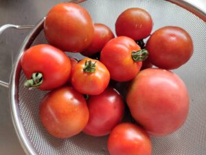 ざる盛りトマト