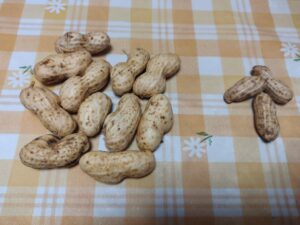ジャンボピーナッツ